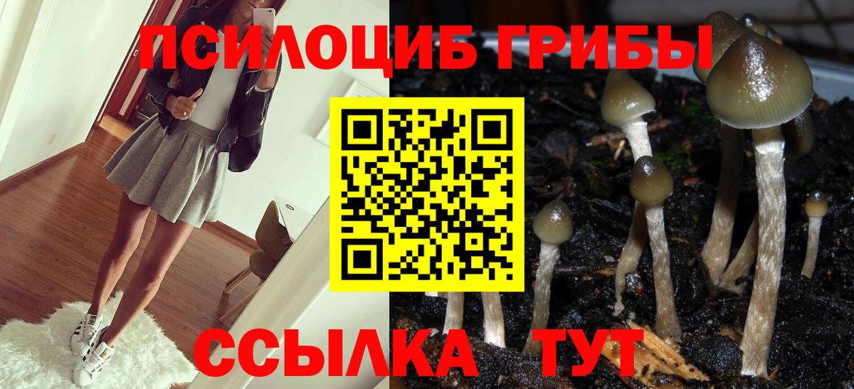 Галлюциногенные грибы Cubensis Курганинск